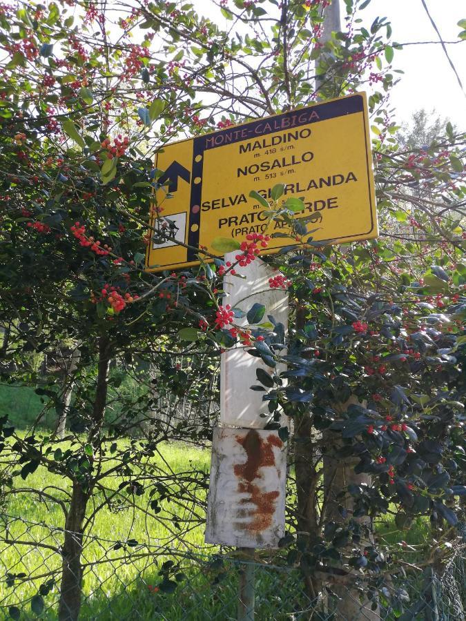 Agriturismo Nona Emma Piano Porlezza Exterior foto